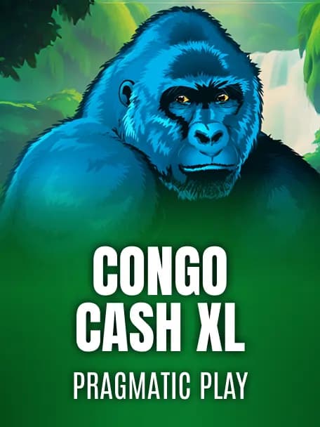 Congo Cash XL